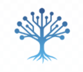scienceco neuron bleu degrade hq 4096