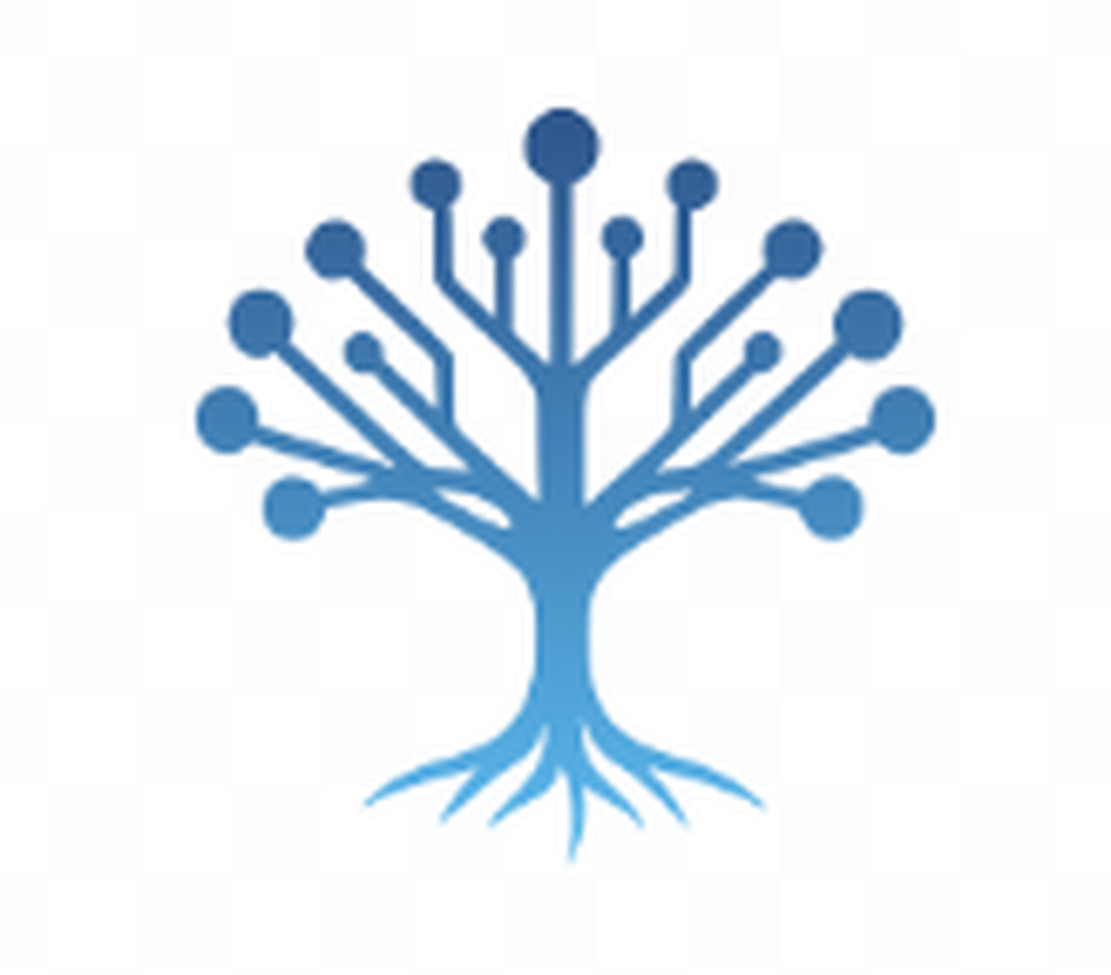 scienceco neuron bleu degrade hq 4096